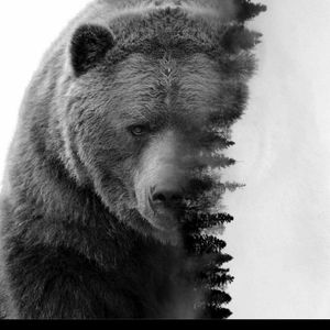 Meet your Posher, Jesse n whitney